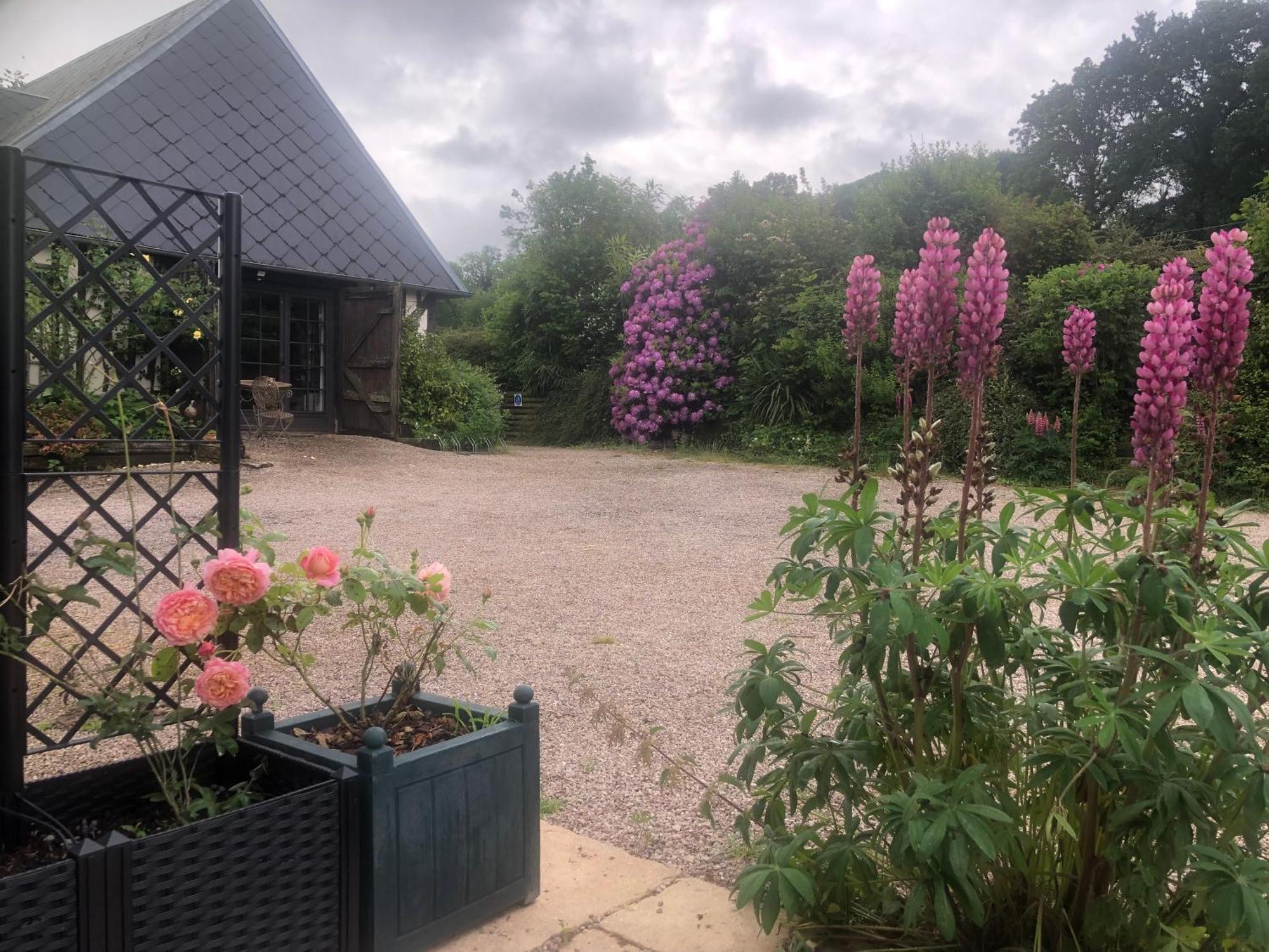 Le Champ Des Possibles Bed and Breakfast Manerbe Eksteriør billede
