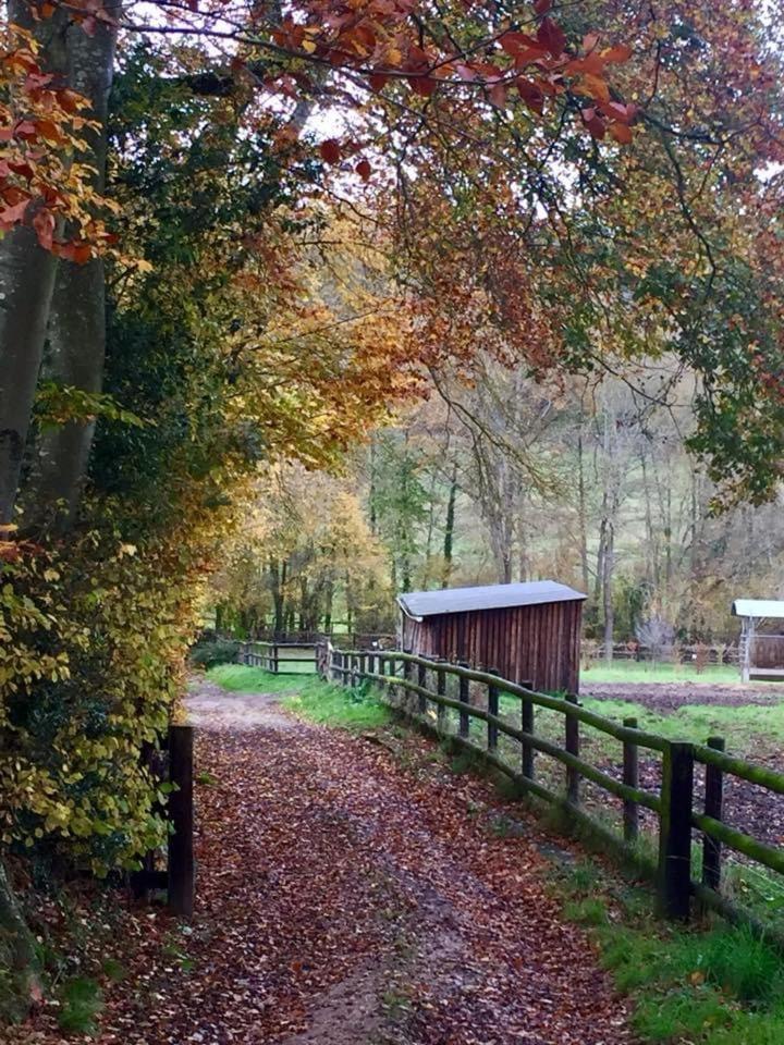 Le Champ Des Possibles Bed and Breakfast Manerbe Eksteriør billede