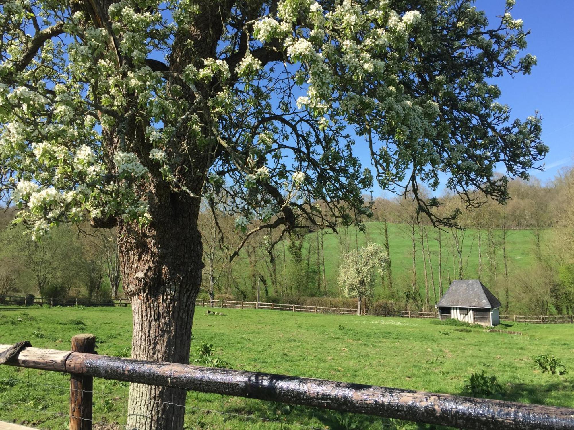 Le Champ Des Possibles Bed and Breakfast Manerbe Eksteriør billede