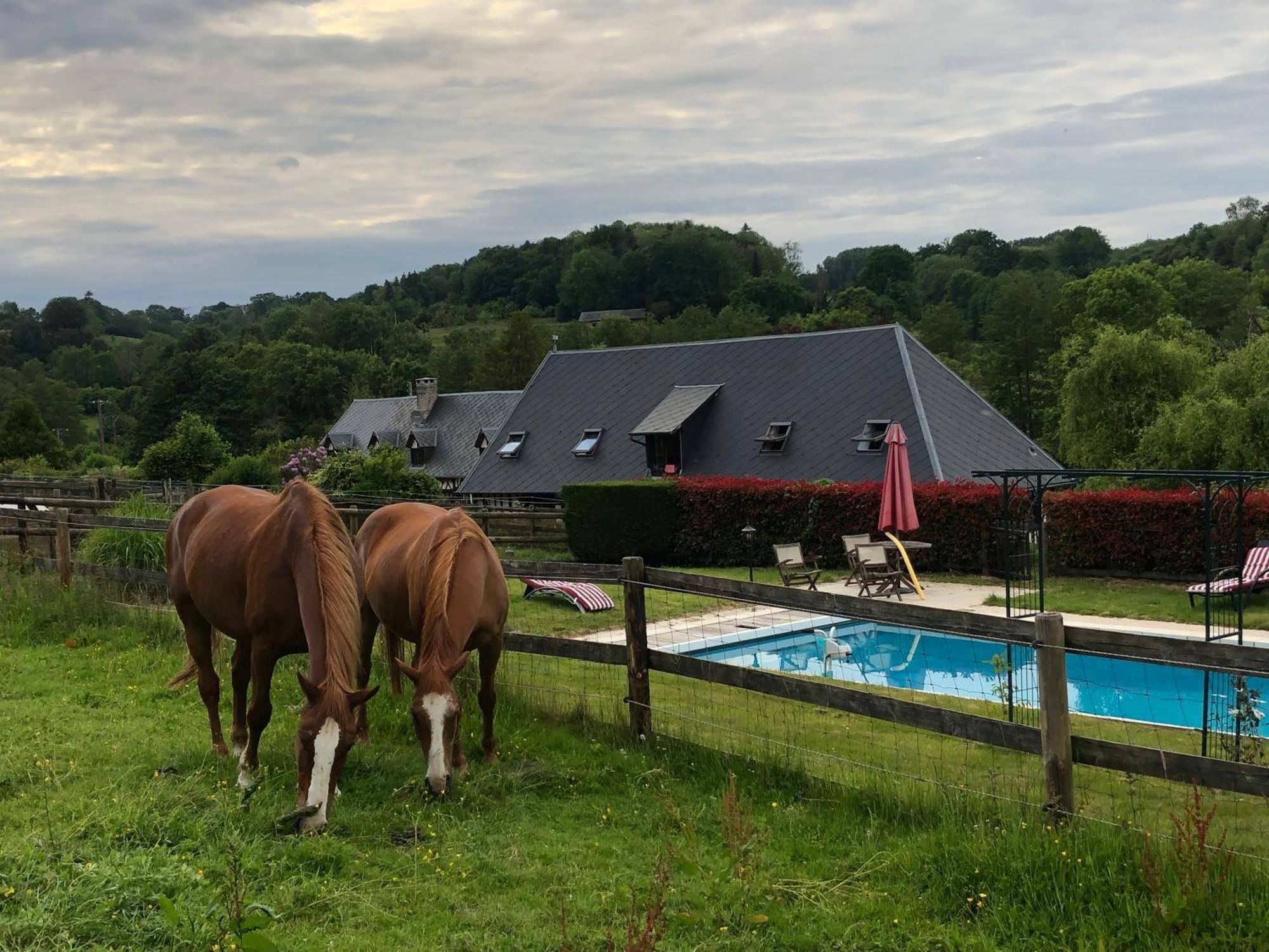 Le Champ Des Possibles Bed and Breakfast Manerbe Eksteriør billede